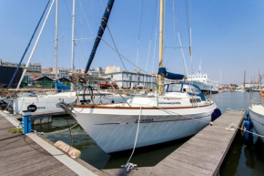 Novo Evamia Boat